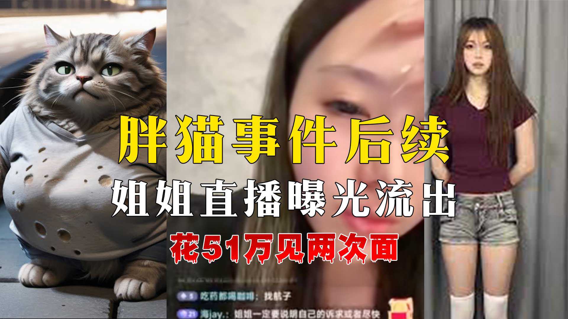 胖猫事件后续姐姐直播曝光答疑解惑声泪俱下